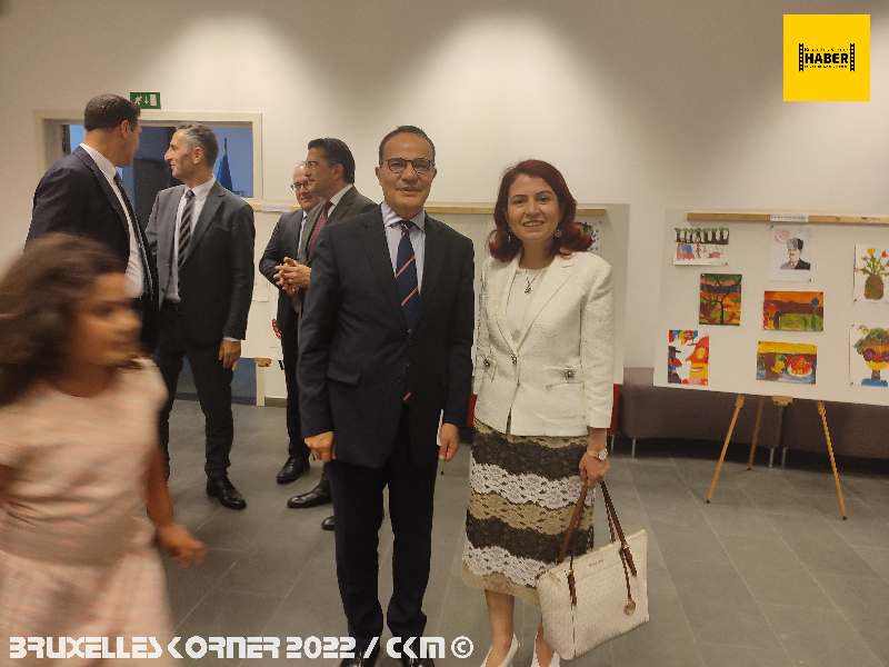 Resmin Sihirli dünyası Projesi- resim sergisi