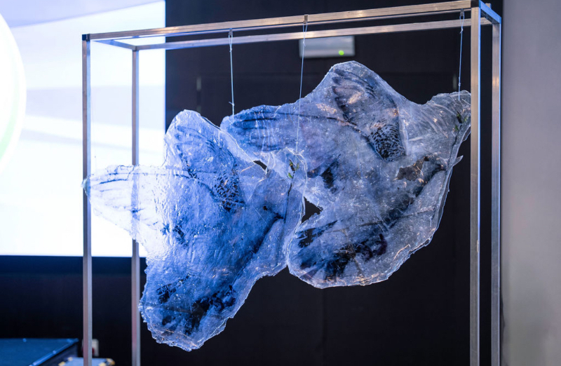 Bruxelles célèbre les 30 ans de neutralité permanente du Turkménistan