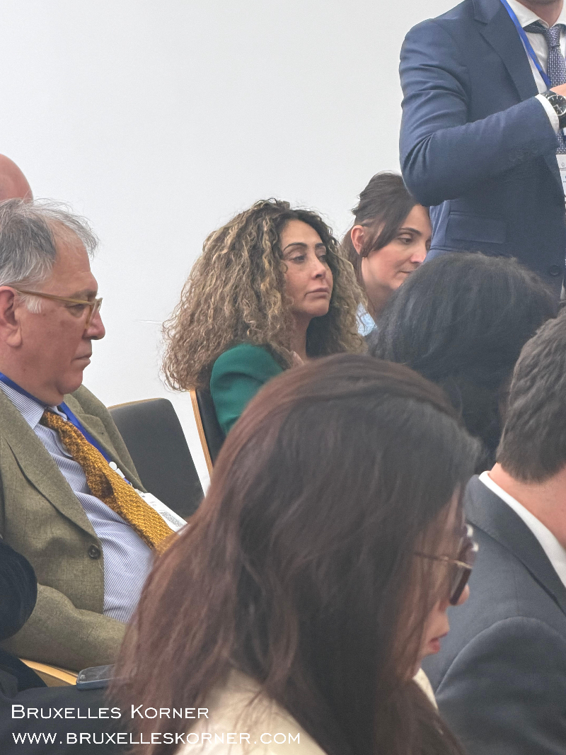 Brüksel'de  Bosna-Hersek Avrupa’nın kalbinde ekonomik atağa geçiyor