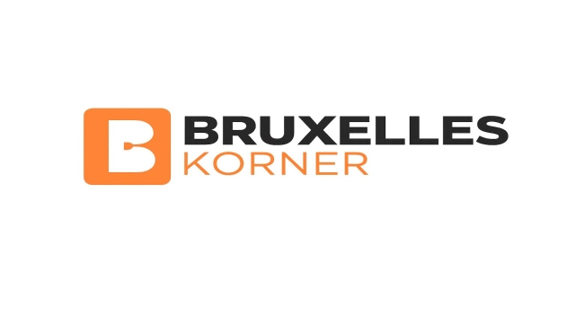 Brüksel'in tarihi ve turistik meydanında Türk halk oyunları coşkusu