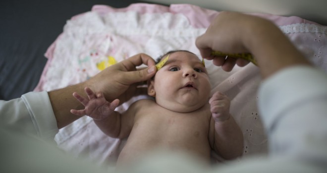 Yeni global virüs tehdidi: Hamilelere Zika uyarısı!