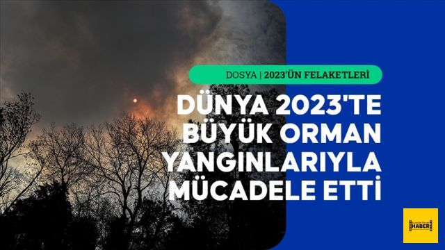 Orman yangınları büyük çapta tahribata, ormanlık alan kaybına ve karbon emisyonuna yol açtı