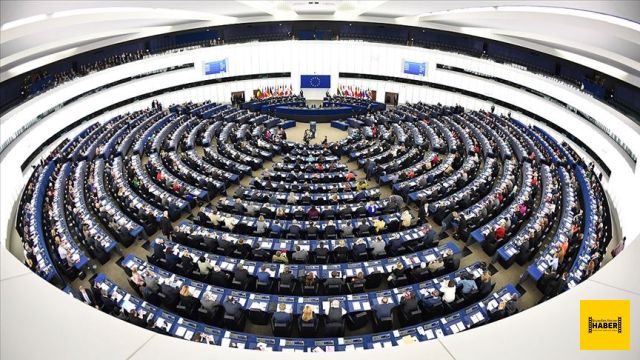 10 soruda Avrupa Parlamentosu seçimleri