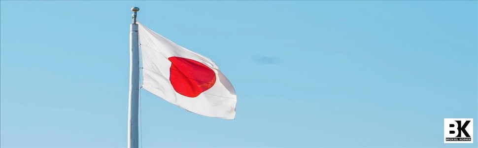 Japonya'da kurumsal iflaslar 2025'in ilk yarısında 12 yıldan bu yana ilk kez 5 bin seviyesini geçti