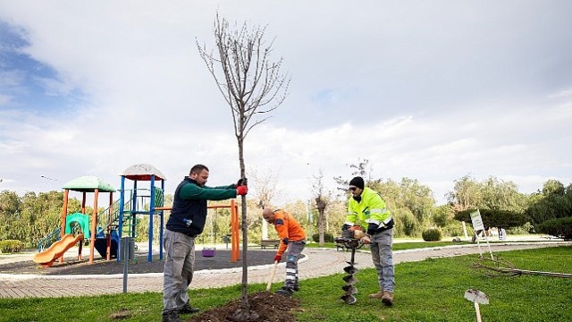 Narlıdere, Peyzaj Çalışmalarıyla Güzelleşiyor