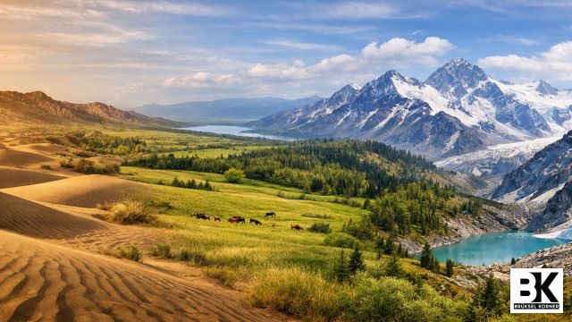 Quoi de neuf au Kazakhstan cette semaine ? Semaine du 15 janvier 2026 numéro 49