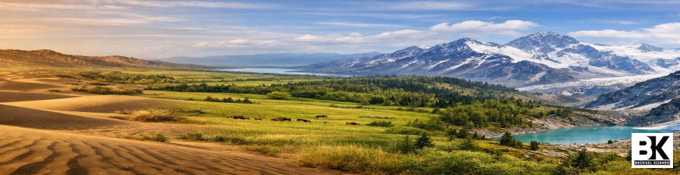 Quoi de neuf au Kazakhstan cette semaine ? Semaine du 15 janvier 2026 numéro 49