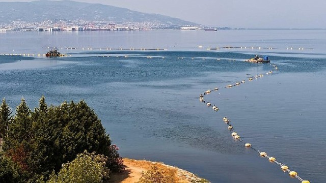 Körfezdeki dev temizlik dünya gündeminde