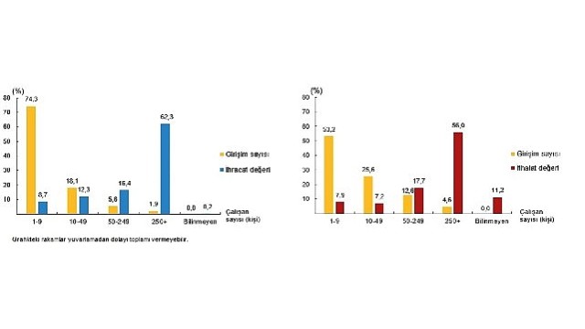 Girişim Özelliklerine Göre Uluslararası Hizmet Ticareti İstatistikleri, 2024