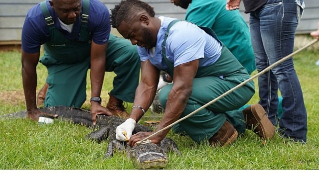 'Veteriner Dostlar: En İyiler’, 30 Mayıs Cumartesi Saat 21.00’de National Geographic WILD Ekranlarında!