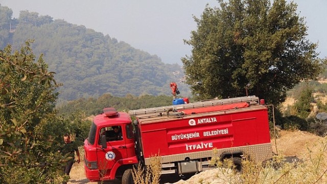Büyükşehir ekipleri orman yangınına müdahale ediyor