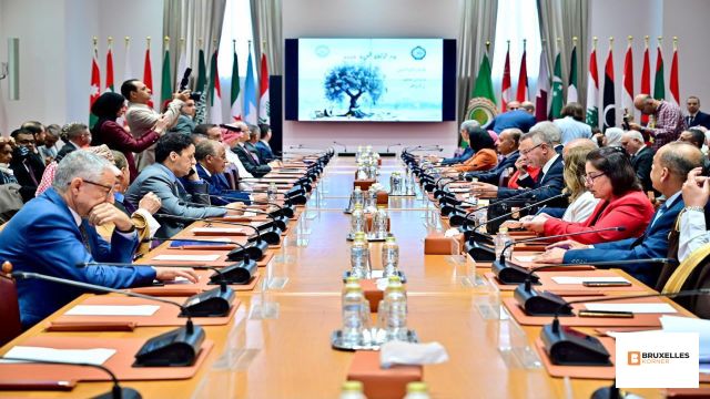 Protecting Palestinian Archive is a National Duty, Warns of Systematic Erasure of Palestinian Memory: Arab League Chief Amr Yehia 