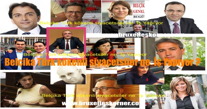 Belçikalı Siyasetçiler 49 Bin Ek İş Yapıyorlar, Belçikalı Türk kökenli siyacetsiler ne İş Yapıyorlar ?