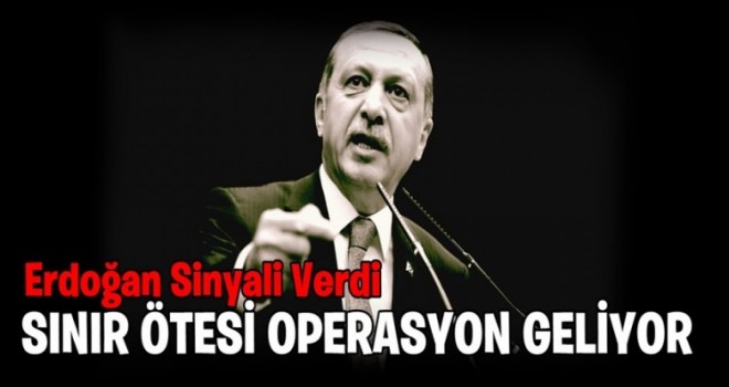 Mete Yarar: Erdoğan 'sınır ötesi' dedi