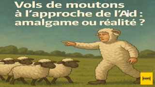Vols de moutons à l’approche de l’Aïd : amalgame ou réalité ?