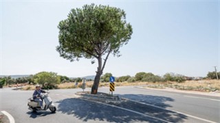 Bergama’da yollar yenileniyor, ulaşım daha güvenli hale geliyor