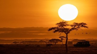 National Geographic NOW Seç-İzle Servisinin Ekim Ayı Teması 'Afrika’!