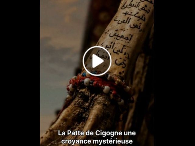 L’amulette en patte de cigogne : une croyance mystérieuse d’Anatolie en voie de disparition